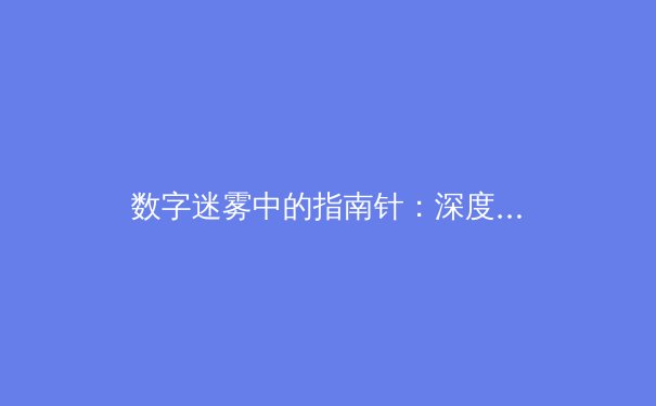 数字迷雾中的指南针：深度解析VPN技术演进与网络安全新趋势 - 2