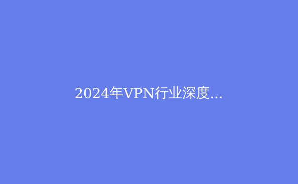 2024年VPN行业深度解析：安全边界与数字自由的博弈 - 3
