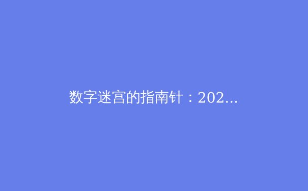 数字迷宫的指南针：2024年全球VPN技术演进与安全应用全景透视 - 4