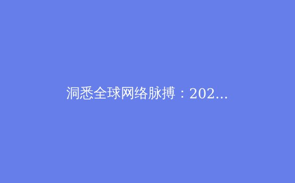 洞悉全球网络脉搏：2024年VPN技术趋势与深度应用解析 - 4
