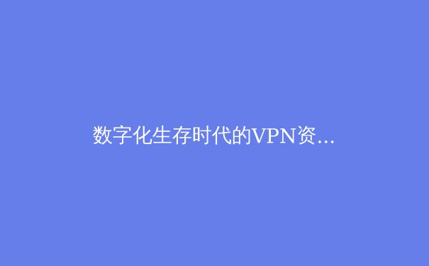 数字化生存时代的VPN资讯指南：从工具选择到网络安全全景透视 - 4