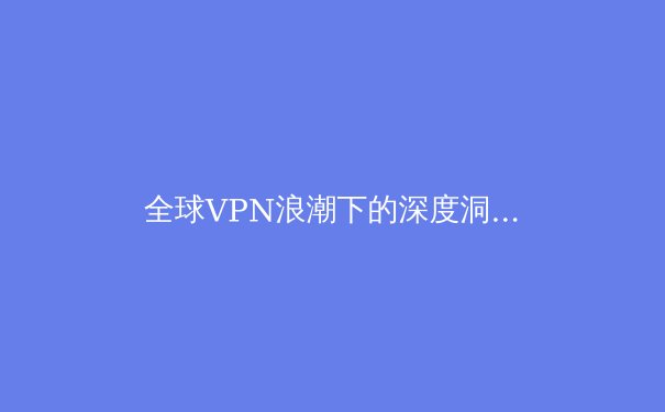 全球VPN浪潮下的深度洞察：技术演进、法律边界与用户选择策略 - 4
