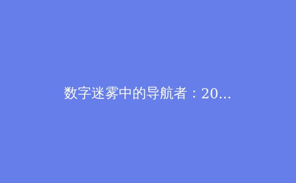 数字迷雾中的导航者：2024年全球VPN技术趋势与网络安全深度解析 - 3